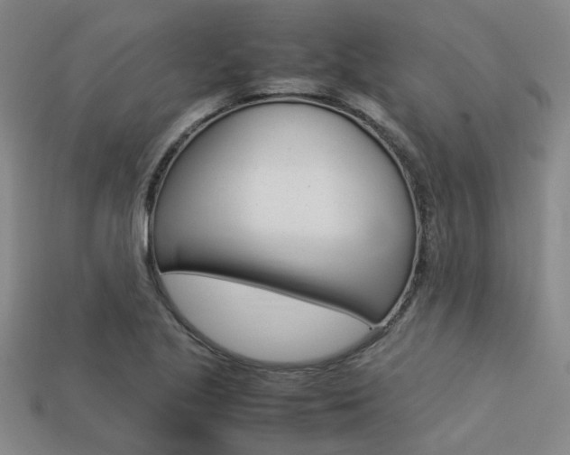 X0000113261221200909101243