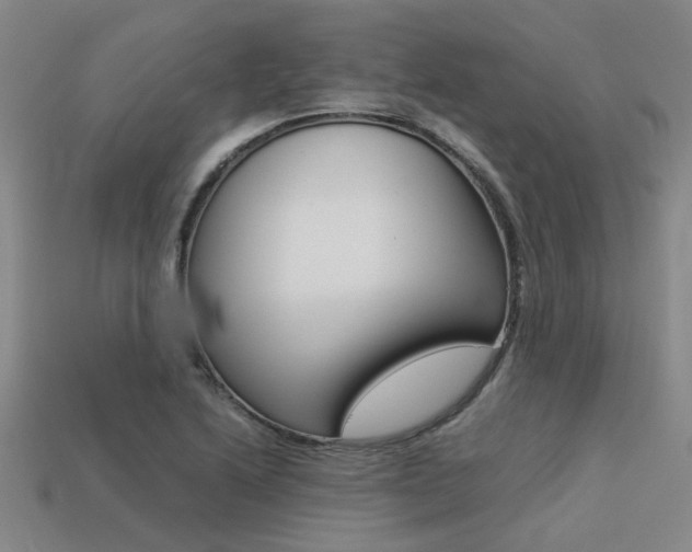 X0000113261222200909101243