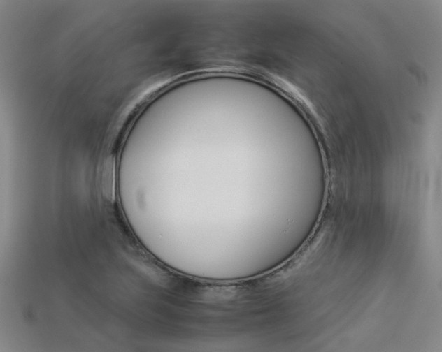 X0000113261223200909101243