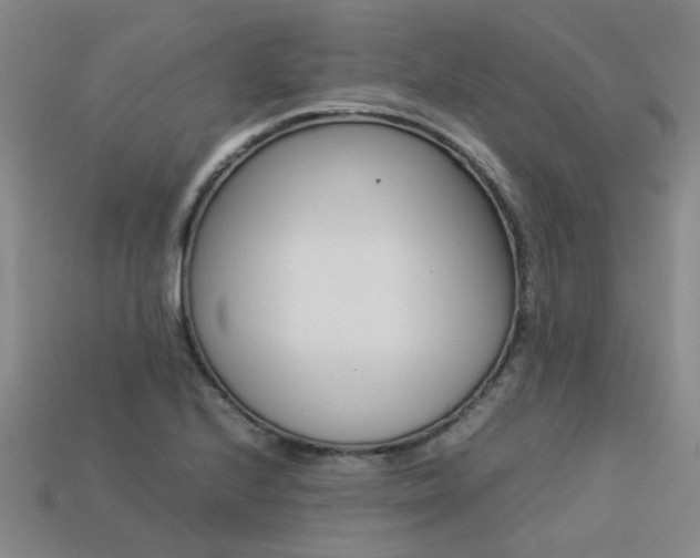 X0000113261224200909101243