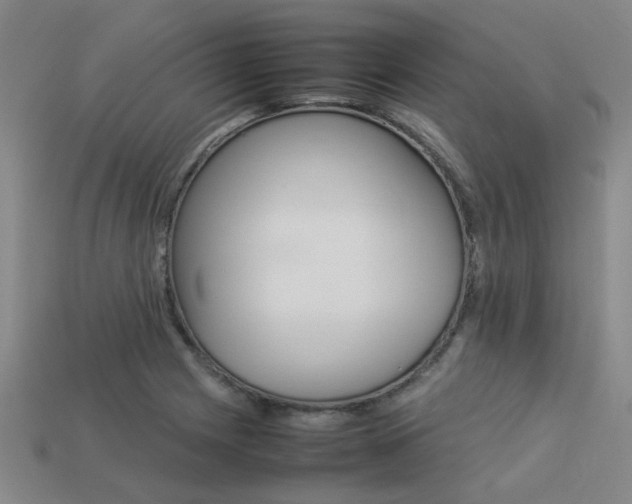 X0000113261225200909101243
