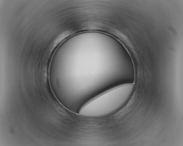 X0000113261226200909101243
