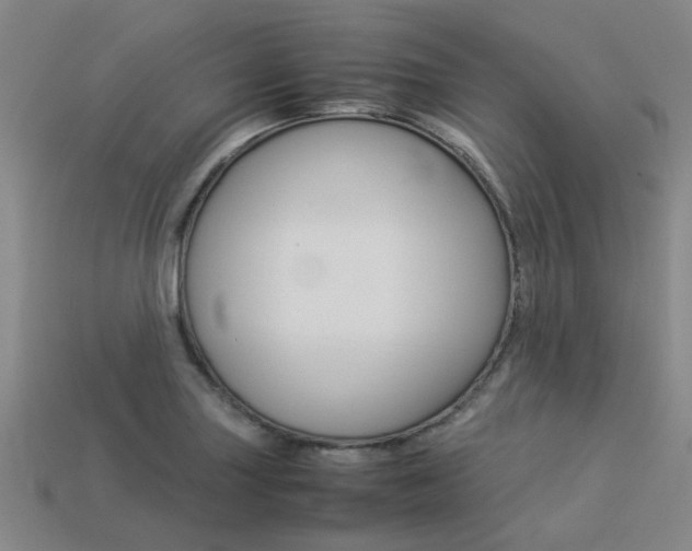X0000113261227200909101243