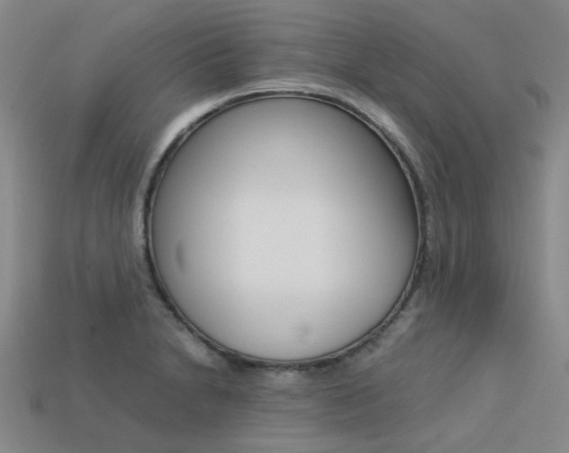 X0000113261230200909101243