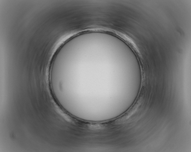 X0000113261231200909101243