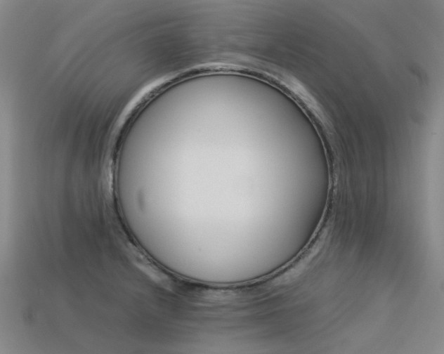 X0000113261232200909101243