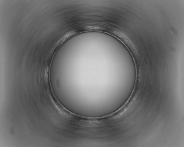 X0000113261233200909101243