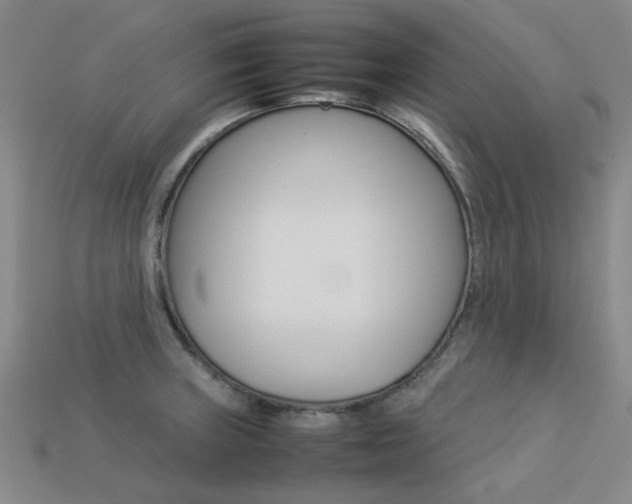 X0000113261235200909101243