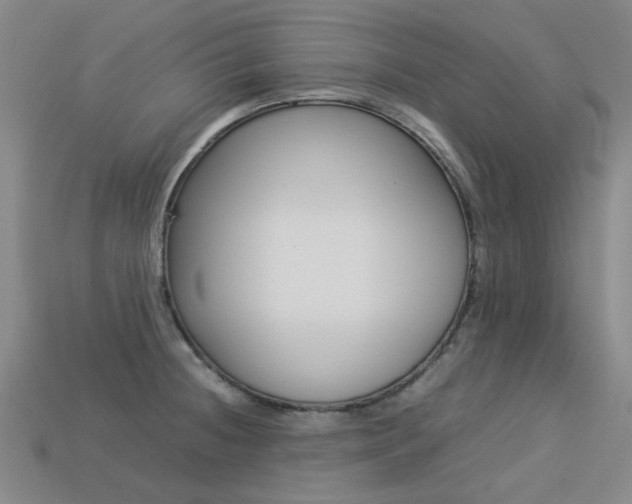X0000113261236200909101243