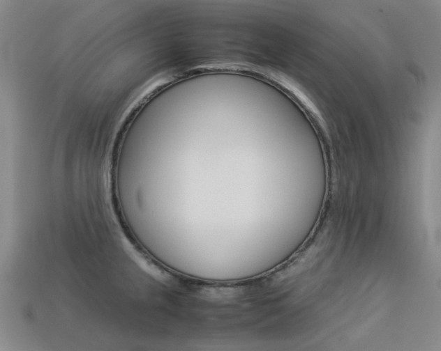 X0000113261237200909101243