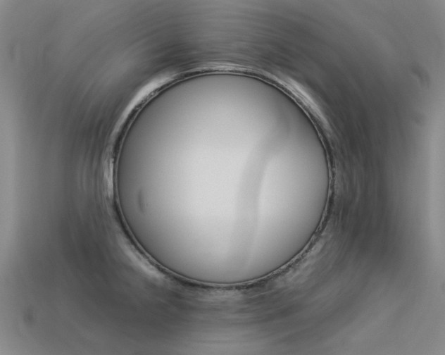 X0000113261238200909101243