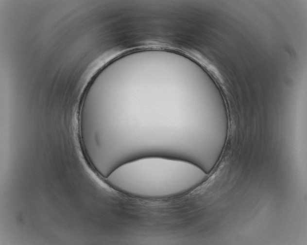 X0000113261239200909101243