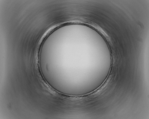 X0000113261240200909101243