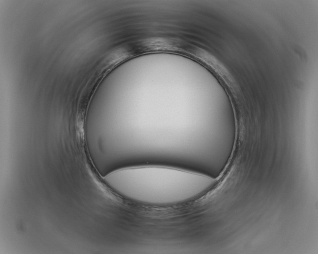 X0000113261241200909101243