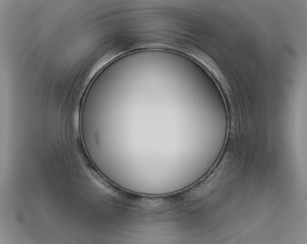 X0000113261242200909101243
