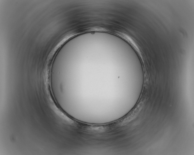 X0000113261243200909101243