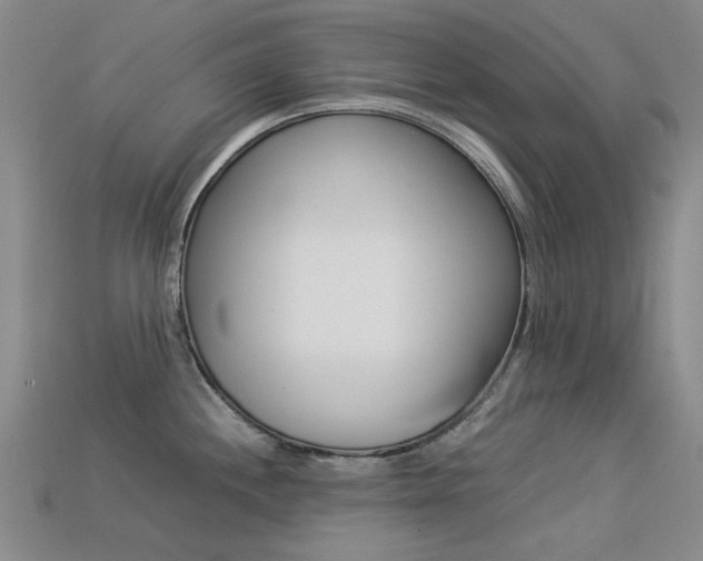 X0000113261244200909101243