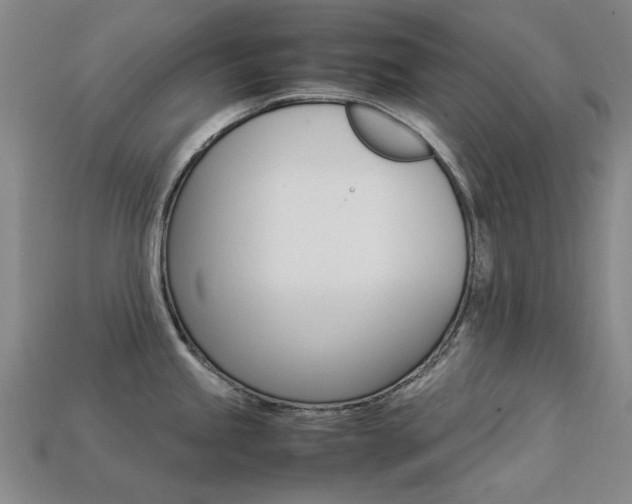 X0000113261245200909101243