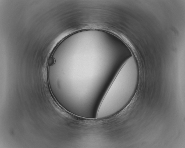 X0000113261246200909101243