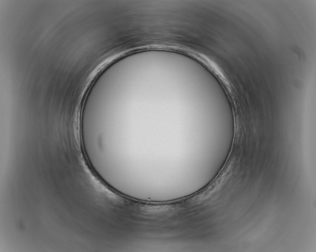 X0000113261247200909101243