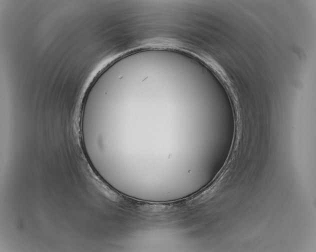 X0000113261248200909101243