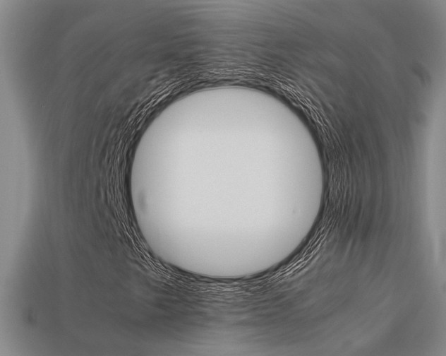 X0000113261249200909101242