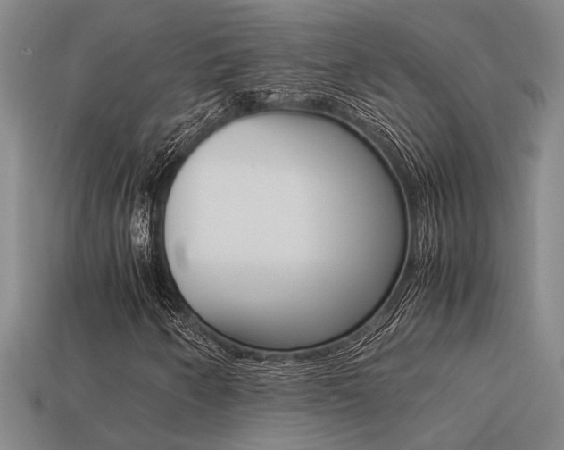 X0000113261250200909101242