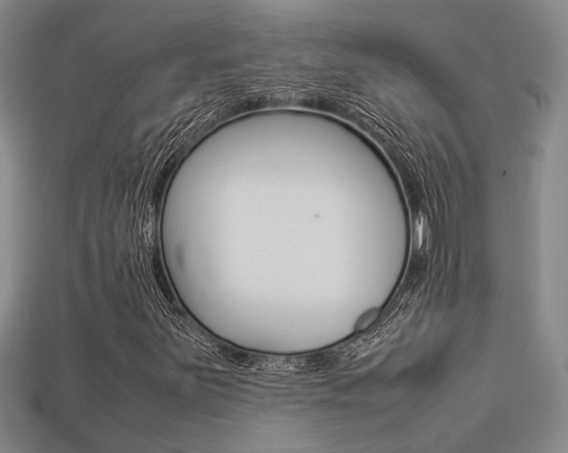 X0000113261251200909101242
