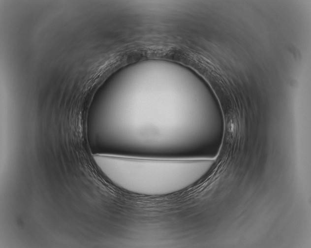 X0000113261252200909101242