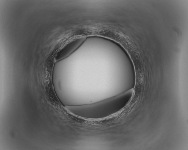 X0000113261253200909101242