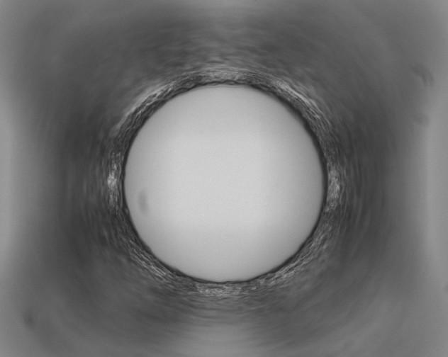 X0000113261254200909101242