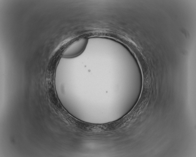 X0000113261255200909101242