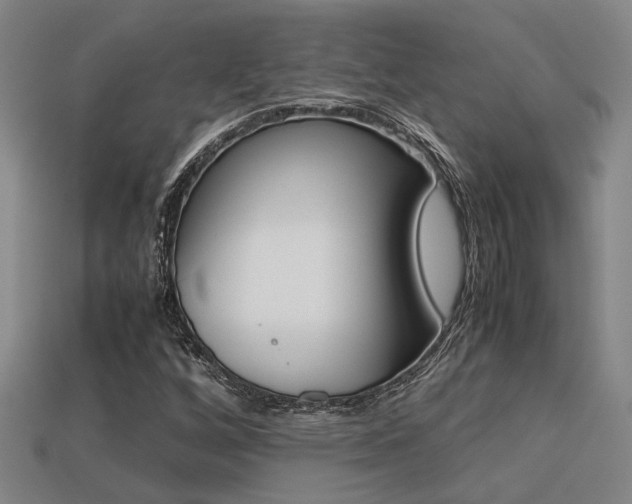 X0000113261256200909101242