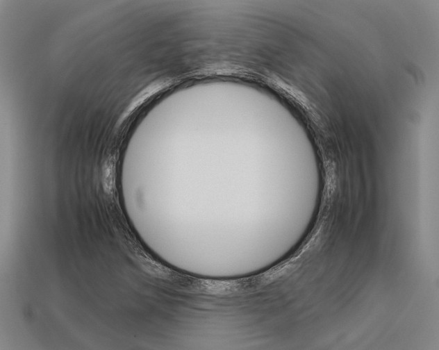 X0000113261258200909101242