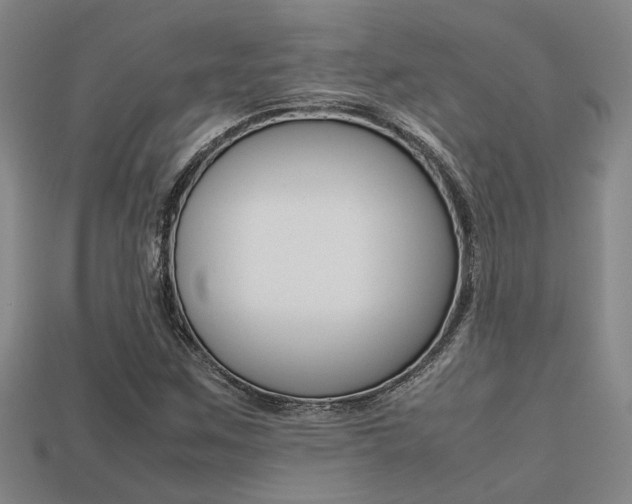 X0000113261259200909101242