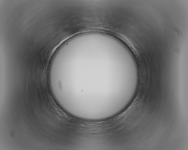 X0000113261260200909101242