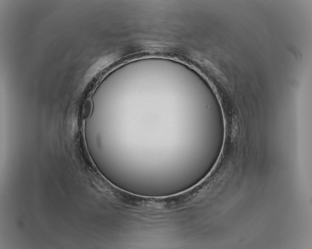 X0000113261261200909101242