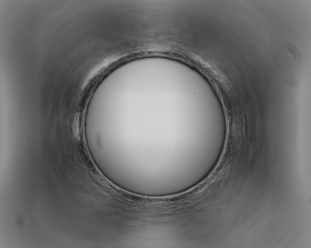 X0000113261262200909101242