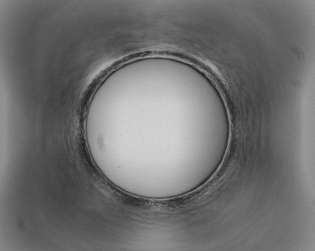 X0000113261263200909101242