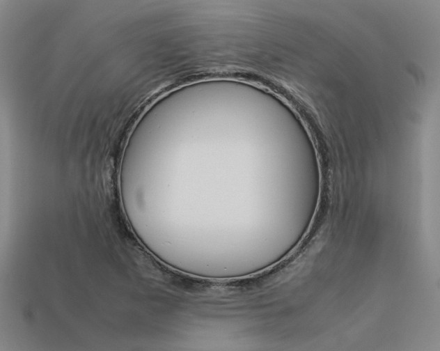 X0000113261265200909101242