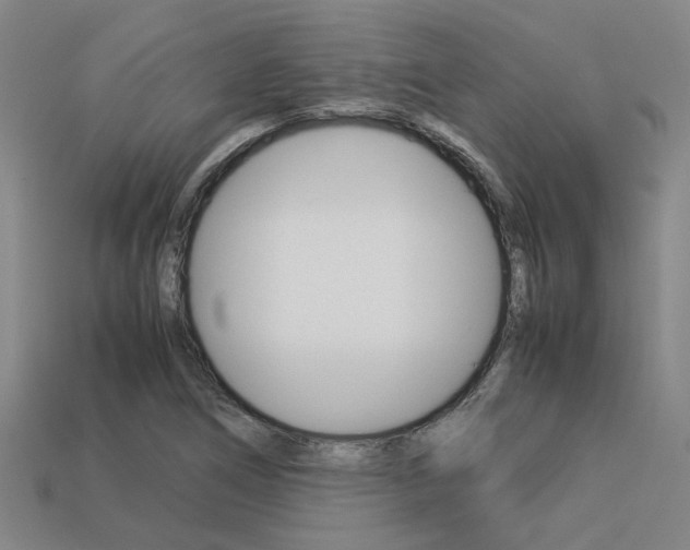 X0000113261266200909101242