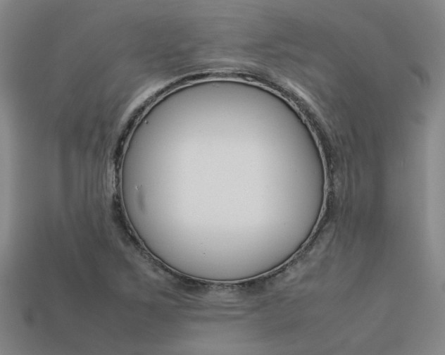 X0000113261267200909101242
