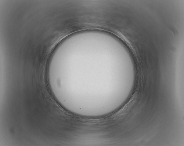 X0000113261269200909101242