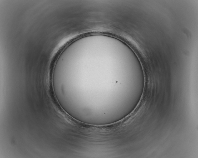 X0000113261270200909101242