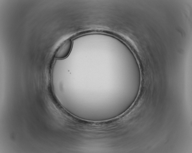 X0000113261271200909101242