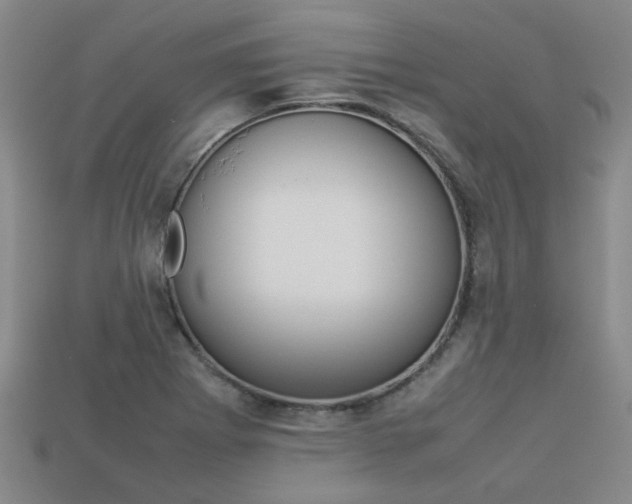 X0000113261273200909101242