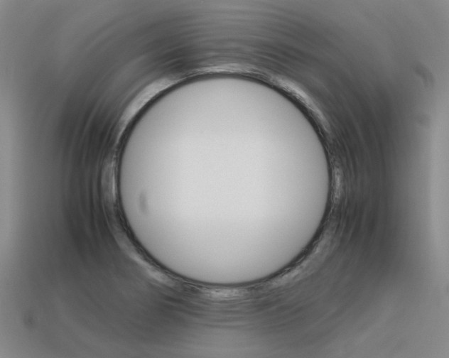X0000113261274200909101242