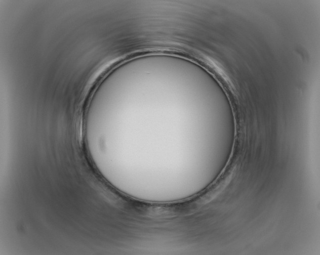 X0000113261275200909101242