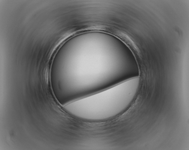X0000113261276200909101242