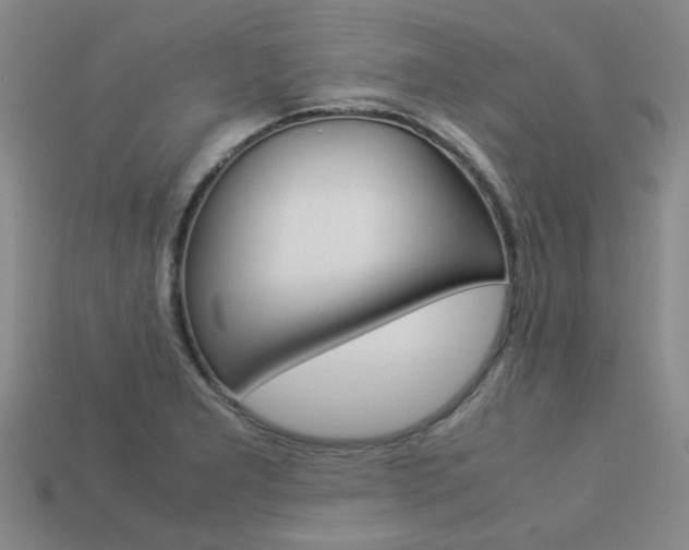 X0000113261277200909101242